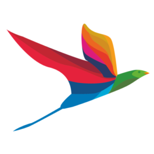 India CSR